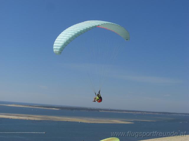 sandhaufen_2010-07-19 (43).JPG